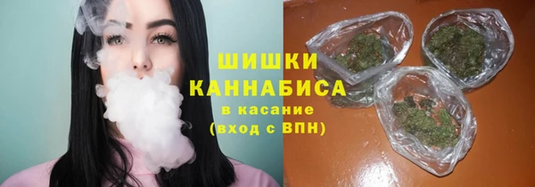 a pvp Богданович