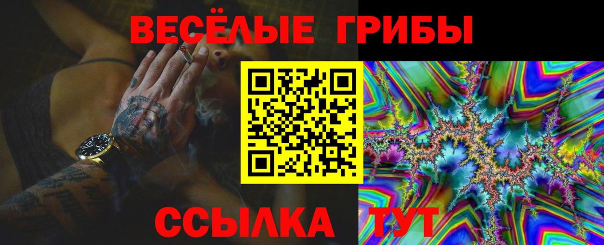 Галлюциногенные грибы GOLDEN TEACHER Апрелевка